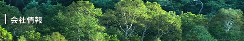 株式会社アイビーシステム